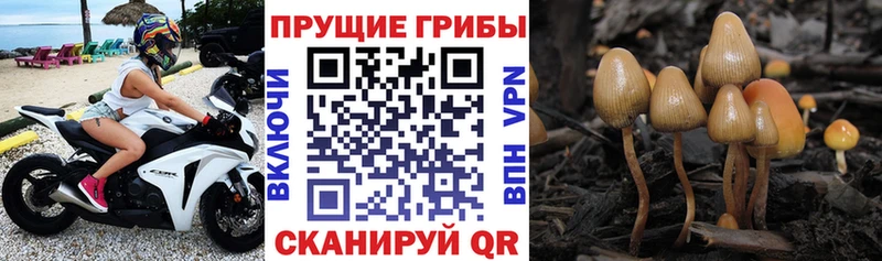 Псилоцибиновые грибы ЛСД  hydra ссылка  Азов  продажа наркотиков 